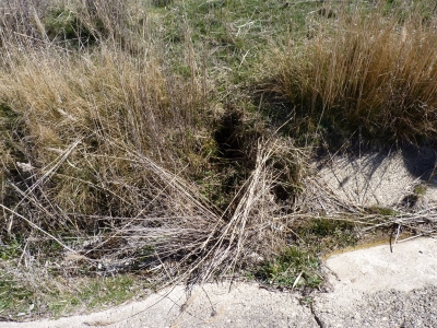 Fuente Cabrejas - imagen 1