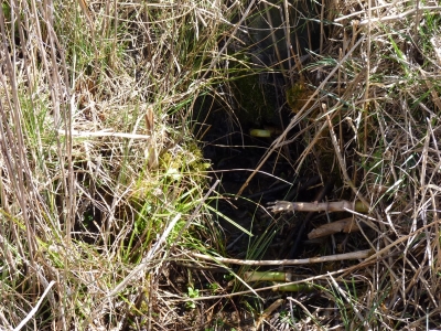 Fuente Cabrejas - imagen 2