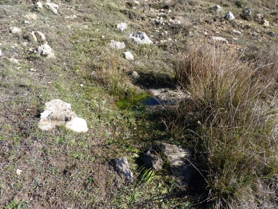 Fuente de los Colmenares - imagen 5