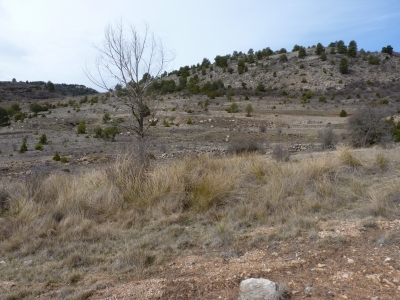Fuente de los Hoyos - imagen 5