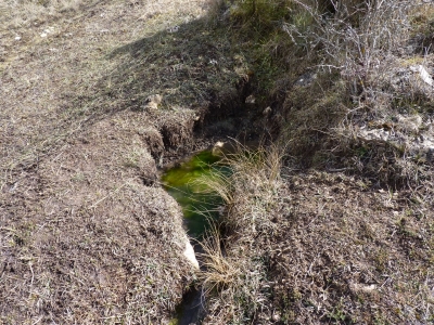 Fuente de la Margarita - imagen 1