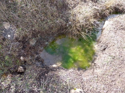 Fuente de la Margarita - imagen 4