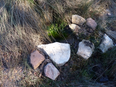 Fuente Podría - imagen 1