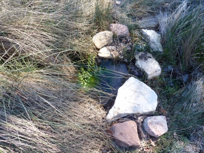 Fuente Podría - imagen 3