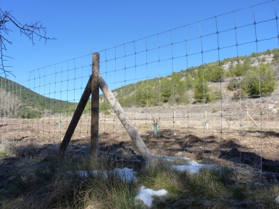Fuente Podría - imagen 7