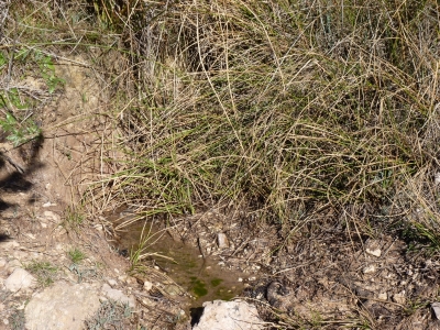 Fuente Resinas - imagen 3