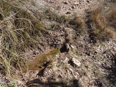 Fuente Resinas - imagen 4