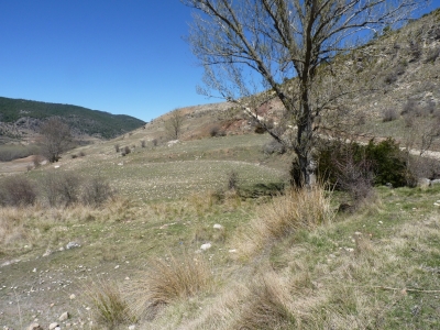 Fuente del Tornajillo - imagen 2