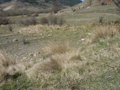 Fuente del Tornajillo - imagen 3