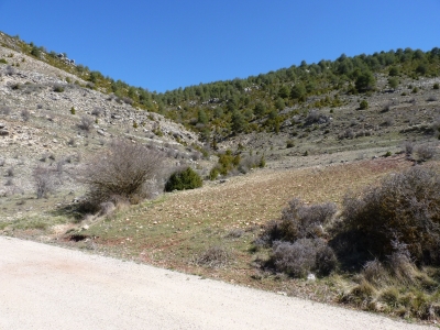 Fuente del Tornajillo - imagen 4