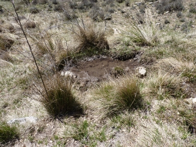 Fuente de las Usías - imagen 4