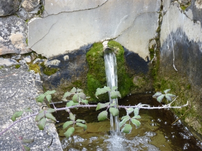 Fuente de la Gata - imagen 5