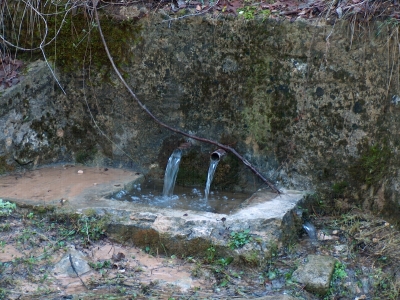 Fuente de la Teja - imagen 5