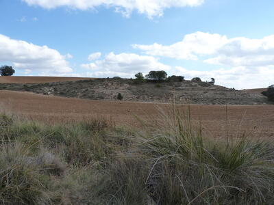 Fuente de la Cavá - imagen 5