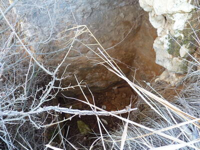 La Fuente - imagen 3