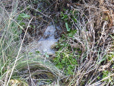 Fuente de la Mora - imagen 1