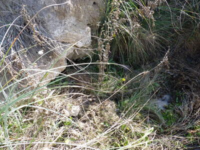 Fuente de la Mora - imagen 2