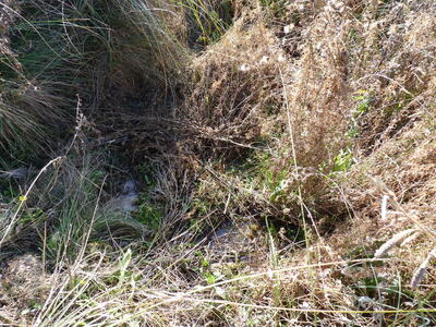 Fuente de la Mora - imagen 3