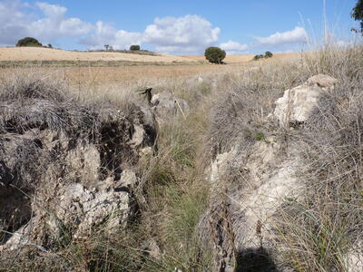 Fuente de la Mora - imagen 7