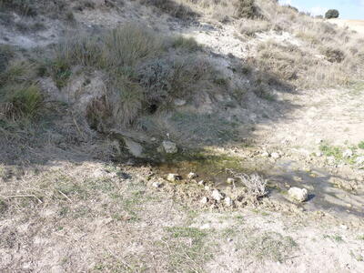 Fuente del Mozo - imagen 1