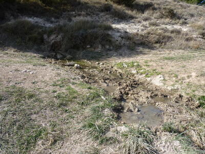 Fuente del Mozo - imagen 2