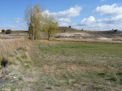 Fuente del Mozo - imagen 7
