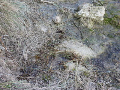 Fuente del Mozo - imagen 8