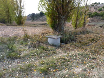 El Pilar - imagen 1