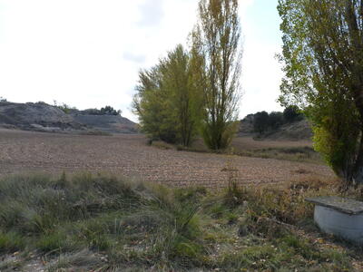 El Pilar - imagen 3