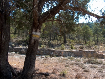 Fuente de la Canaleja - imagen 1