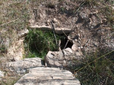 Fuente de la Canaleja - imagen 4