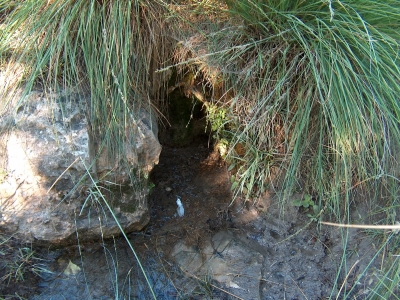 Fuente de la Carrasca - imagen 1