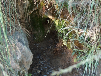 Fuente de la Carrasca - imagen 2