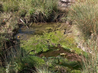 Fuente de la Carrasca - imagen 3