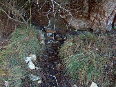 Fuente del Castillejo - imagen 1