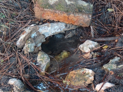 Fuente del Castillejo - imagen 2