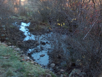 Fuente del Castillejo - imagen 3