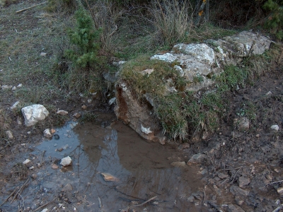 Fuente de los Cepos - imagen 1