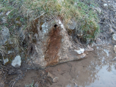 Fuente de los Cepos - imagen 2