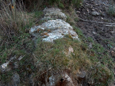 Fuente de los Cepos - imagen 3