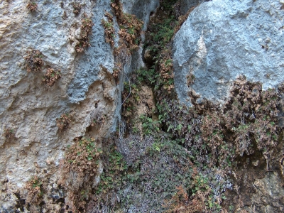 Las Chorreras de Garro - imagen 3