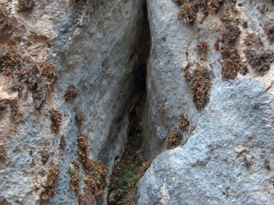 Las Chorreras de Garro - imagen 4