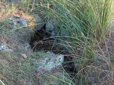 Fuente de la Cuesta de la Barga - imagen 1