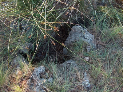 Fuente de la Cuesta de la Barga - imagen 2