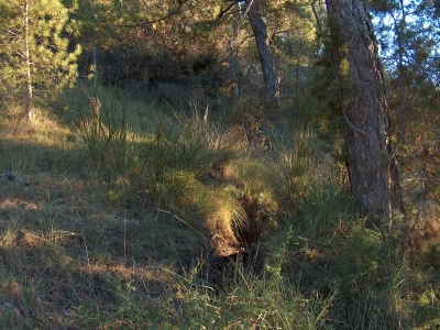 Fuente de la Cuesta de la Barga - imagen 4