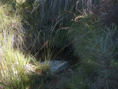 Fuentecilla del Herrero - imagen 1