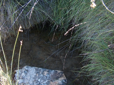 Fuentecilla del Herrero - imagen 2
