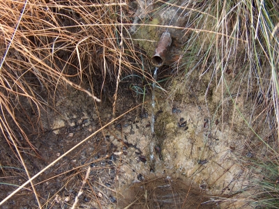 Fuente de la Paloma II - imagen 1