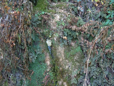 Fuente de las Parras II - imagen 1