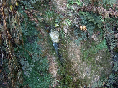 Fuente de las Parras II - imagen 2